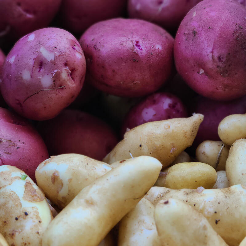 Buy Fresh New Potatoes Online Brooklands Farm